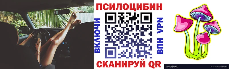 Галлюциногенные грибы Psilocybe  Олонец 