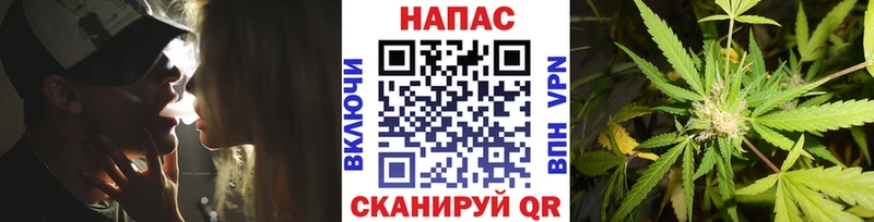 дарнет шоп  Олонец  MEGA ТОР  Бошки Шишки SATIVA & INDICA 